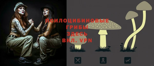 мдпв Новокубанск