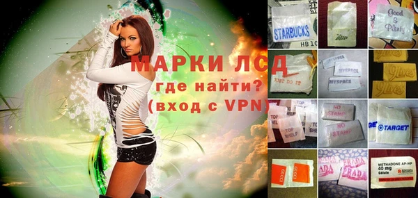 индика Горняк