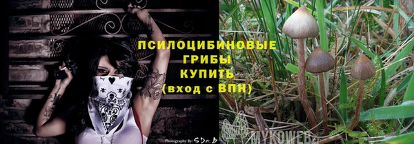 мдпв Новокубанск