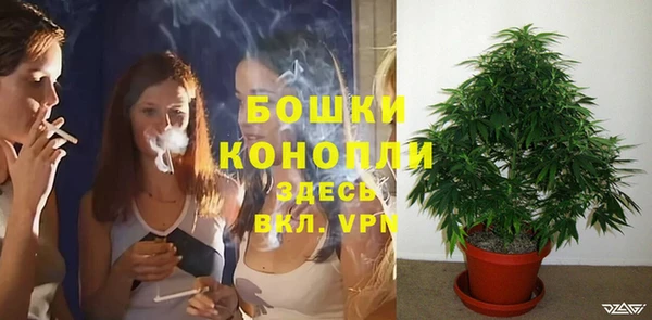 кокс Нягань