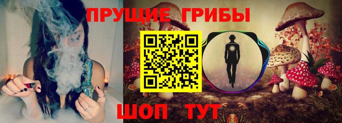 Псилоцибиновые грибы GOLDEN TEACHER Аргун