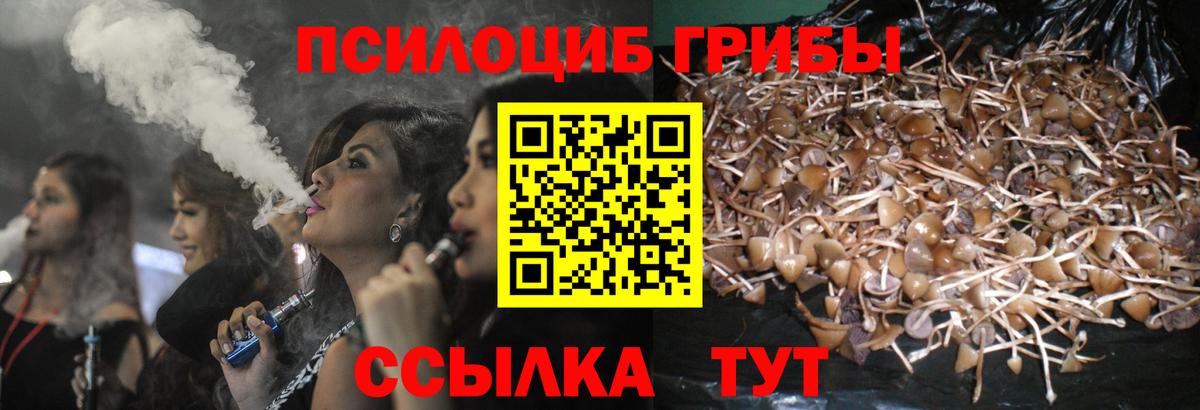 Аргун  Галлюциногенные грибы Psilocybe  продажа наркотиков  Вход с VPN 