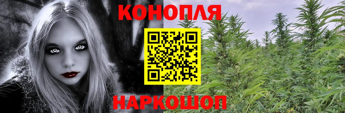 Аргун  Бошки Шишки семена  Вход с VPN  Марихуана план  Канабис OG Kush  Шишки марихуана AK-47 
